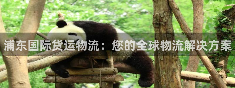 欢迎来到公海欢迎来到赌船710
