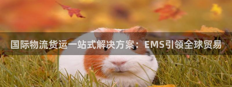 公海赌船平台
