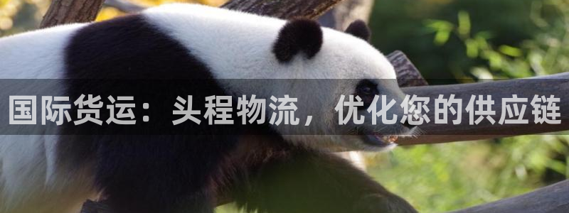 公海赌赌船官网jc710